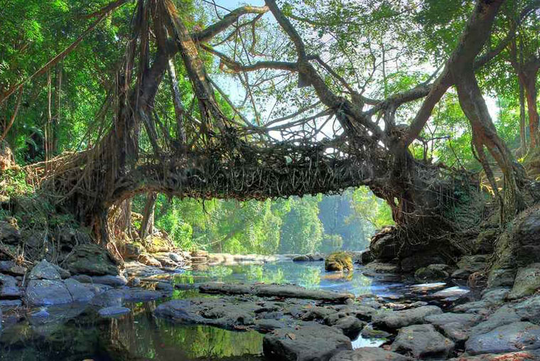 car rental guwahati to shillong, car rentals in shillong, car on rent guwahati, guwahati to shillong cab, online car booking in guwahati, cabs in guwahati, car hire in shillong, guwahati cab, innova booking in guwahati, car on hire in guwahati, guwahati car rent, guwahati to tawang taxi fare, guwahati to shillong car booking, guwahati taxi stand, guwahati shillong car rental, shillong cab rental, best taxi service in guwahati, tempo traveller price in guwahati, shillong tours and travels, shillong travel taxi, cab hire in guwahati, taxi service guwahati, shillong to guwahati taxi fare, guwahati to manas national park taxi fare, tata sumo fare from guwahati to tawang, rent a car in assam, car hire assam, international travel agency in guwahati, meghalaya taxi service, guwahati to shillong cabs, innova car price in guwahati, innova on road price in guwahati, cab service in guwahati, scorpio car price in guwahati, car rental in guwahati to shillong, guwahati cab services, guwahati to shillong taxi fare, cheapest tempo traveller rental in guwahati guwahati, guwahati to shillong bus, travel agency guwahati to shillong, guwahati to shillong taxi, assam govt taxi fare, guwahati tempo traveller, best travel agency in guwahati, rent cars in guwahati, rent a car in shillong, guwahati innova service, shillong taxi service, assam taxi service, cab booking guwahati, guwahati to shillong car hire charges, tempo traveller in shillong, innova price in guwahati, ford aspire price in guwahati, bmw car price in guwahati, traveller in guwahati, guwahati to shillong cab fare, guwahati to shillong car, taxi from guwahati to shillong, taxi fare from guwahati to shillong, tempo traveller rental service in guwahati assam, cab from guwahati to shillong, rental car in shillong, taxi operators in guwahati, rental cars in shillong, cab services in guwahati, car from guwahati to shillong, guwahati cabs, rent car in shillong, tour and travel agency in guwahati, scorpio price in guwahati, tour operator in guwahati, taxi rental services, guwahati to shillong taxi booking, guwahati travels agency, guwahati travel agency, guwahati to shillong tata sumo fare, force traveller price in guwahati, innova crysta price in guwahati, toyota innova price in guwahati, car rent in shillong, travel agency in guwahati assam, tawang taxi service, shillong sightseeing taxi fare, best travel agent in guwahati, shillong to guwahati bus, guwahati to shillong bus fare, shillong car hire, guwahati to kaziranga taxi, force traveller 26 seater price in assam, travel agency in shillong, city cab jorhat, manas taxi, travel agencies in guwahati, list of travel agents in guwahati, majuli to guwahati, tour operators in guwahati, bmw car rent in guwahati, guwahati taxi services, guwahati to shillong by car, guwahati to majuli bus, assam taxi, guwahati to shillong bus service, jorhat to guwahati bus, car rent from guwahati to shillong, car for hire in guwahati,assam, meghalaya, arunachal pradesh, guwahati to shillong cab booking, car rental at guwahati airport, force traveller 17 seater price in assam, taxi fare from guwahati to tawang, guwahati to itanagar taxi fare, guwahati to kaziranga shared taxi, toyota innova crysta price in guwahati, guwahati to aizawl sumo fare, shillong to kaziranga taxi fare, taxi in shillong, silchar to guwahati sumo service, kaziranga to guwahati bus, taxi fare from dimapur to imphal, cab in guwahati, book cab in guwahati, tempo traveller on rent in guwahati, shillong sightseeing taxi, guwahati travel agent, cab service in guwahati to shillong, car fare from guwahati to shillong, travel from guwahati to shillong, shillong cab service, assam travel agency, car price in guwahati, bus service from guwahati to shillong, guwahati to shillong by bus, guwahati to shillong shared taxi fare, assam tours and travels, guwahati to kaziranga by car, majuli island from guwahati, guwahati to tawang by road, tour operators for assam, guwahati cab booking, cab guwahati, shillong rent taxi, taxi services in guwahati, guwahati to bomdila car fare, travel agency guwahati, guwahati to tawang car fare, shillong travel agent, taxi service in shillong, car in guwahati, guwahati airport to shillong taxi, shillong tour and travels, travel agency in assam, taxi service in jorhat, jorhat taxi service, taxi from shillong to guwahati, shillong taxi, guwahati airport to shillong taxi fare, guwahati to tezpur taxi fare, bus service from guwahati to jorhat, guwahati car, bike rent in guwahati, guwahati railway station to airport taxi fare, guwahati to haflong bus, tours and travels car rental, guwahati to dhubri bus, dimapur to kohima taxi fare, guwahati to bhalukpong bus service, how to travel from guwahati to shillong, guwahati tour operators, taxi fare from guwahati airport to shillong, guwahati to nameri national park, resorts in manas national park, how to reach bomdila from guwahati, shillong travel blog, car on rent in shillong, car rent in jorhat, jorhat car rental, largest tempo traveller hiring service in guwahati, tempo traveller rent for guwahati shillong tour, best cab service in guwahati, taxi guwahati, bomdila to tawang taxi fare, guwahati to tawang car rental, shillong to guwahati taxi, taxi fare guwahati to shillong, guwahati to jorhat taxi, guwahati to dimapur taxi, shillong travels, guwahati to dhubri bus fare, suv price in guwahati, jorhat taxi, bus from guwahati to shillong, guwahati to golaghat bus, ghy to shillong bus, buses from guwahati to shillong, shillong taxi fare, bus service from jorhat to guwahati, car in shillong, travel agent in assam, dhubri to guwahati bus, travel agent assam, guwahati airport to kamakhya temple taxi fare, guwahati railway station to shillong taxi fare, assam tour and travels, buses from shillong to guwahati, guwahati to bomdila bus service, car rental services near me, silchar to shillong sumo service, manas national park to guwahati, guwahati local sightseeing packages, guwahati to sela pass, guwahati to shillong government bus service, guwahati to shillong by road, guwahati to tura bus service, guwhati to shillong, guwahati one day tour, innova travel agency, north east taxi rentals, shillong tourist cab, tourist vehicle near me, car rental nearme, tours & travels near me, cab on rent near me, car on hire near me, monthly rental cars, travelling agencies near me, bus travel agency near me, tour & travels near me, hire vehicle near me, car rent near me, taxi operators near me, touring agency near me, cab booking from guwahati to shillong, nearby taxi cab service, innova service from kohima to guwahati, tourist traveller near me, cheapest car in shillong, force traveller 17 seater price in guwahati, kohima to guwahati innova service, guwahati to shillong taxi service, shillong car service, guwahati to shillong tourist car, travel agent in shillong, taxi service guwahati to shillong, new cab service in guwahati, low price car in guwahati, tempo price in guwahati, kaziranga to guwahati taxi fare, tawang car rental, guwahati to shillong fare in car, guwahati to tura sumo service, shillong travel agency, shillong cab, tours and travels in shillong, guwahati to shillong cab service, guwahati to majuli bus service, guwahati to shillong sumo fare, toyota innova price in assam, bolero car price in guwahati, guwahati to kaziranga car fare, cabs in shillong, online bus booking assam, guwahati to kaziranga taxi, mahindra bolero pickup price in guwahati, guwahati shillong bus, kaziranga to shillong taxi fare, guwahati one day sightseeing by bus, shillong to kaziranga car fare, guwahati to tawang bus fare, local sightseeing in guwahati, sightseeing of guwahati, shillong to silchar sumo, car rental service in guwahati, car rental agency in guwahati