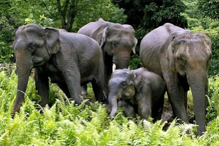 car rental guwahati to shillong, car rentals in shillong, car on rent guwahati, guwahati to shillong cab, online car booking in guwahati, cabs in guwahati, car hire in shillong, guwahati cab, innova booking in guwahati, car on hire in guwahati, guwahati car rent, guwahati to tawang taxi fare, guwahati to shillong car booking, guwahati taxi stand, guwahati shillong car rental, shillong cab rental, best taxi service in guwahati, tempo traveller price in guwahati, shillong tours and travels, shillong travel taxi, cab hire in guwahati, taxi service guwahati, shillong to guwahati taxi fare, guwahati to manas national park taxi fare, tata sumo fare from guwahati to tawang, rent a car in assam, car hire assam, international travel agency in guwahati, meghalaya taxi service, guwahati to shillong cabs, innova car price in guwahati, innova on road price in guwahati, cab service in guwahati, scorpio car price in guwahati, car rental in guwahati to shillong, guwahati cab services, guwahati to shillong taxi fare, cheapest tempo traveller rental in guwahati guwahati, guwahati to shillong bus, travel agency guwahati to shillong, guwahati to shillong taxi, assam govt taxi fare, guwahati tempo traveller, best travel agency in guwahati, rent cars in guwahati, rent a car in shillong, guwahati innova service, shillong taxi service, assam taxi service, cab booking guwahati, guwahati to shillong car hire charges, tempo traveller in shillong, innova price in guwahati, ford aspire price in guwahati, bmw car price in guwahati, traveller in guwahati, guwahati to shillong cab fare, guwahati to shillong car, taxi from guwahati to shillong, taxi fare from guwahati to shillong, tempo traveller rental service in guwahati assam, cab from guwahati to shillong, rental car in shillong, taxi operators in guwahati, rental cars in shillong, cab services in guwahati, car from guwahati to shillong, guwahati cabs, rent car in shillong, tour and travel agency in guwahati, scorpio price in guwahati, tour operator in guwahati, taxi rental services, guwahati to shillong taxi booking, guwahati travels agency, guwahati travel agency, guwahati to shillong tata sumo fare, force traveller price in guwahati, innova crysta price in guwahati, toyota innova price in guwahati, car rent in shillong, travel agency in guwahati assam, tawang taxi service, shillong sightseeing taxi fare, best travel agent in guwahati, shillong to guwahati bus, guwahati to shillong bus fare, shillong car hire, guwahati to kaziranga taxi, force traveller 26 seater price in assam, travel agency in shillong, city cab jorhat, manas taxi, travel agencies in guwahati, list of travel agents in guwahati, majuli to guwahati, tour operators in guwahati, bmw car rent in guwahati, guwahati taxi services, guwahati to shillong by car, guwahati to majuli bus, assam taxi, guwahati to shillong bus service, jorhat to guwahati bus, car rent from guwahati to shillong, car for hire in guwahati,assam, meghalaya, arunachal pradesh, guwahati to shillong cab booking, car rental at guwahati airport, force traveller 17 seater price in assam, taxi fare from guwahati to tawang, guwahati to itanagar taxi fare, guwahati to kaziranga shared taxi, toyota innova crysta price in guwahati, guwahati to aizawl sumo fare, shillong to kaziranga taxi fare, taxi in shillong, silchar to guwahati sumo service, kaziranga to guwahati bus, taxi fare from dimapur to imphal, cab in guwahati, book cab in guwahati, tempo traveller on rent in guwahati, shillong sightseeing taxi, guwahati travel agent, cab service in guwahati to shillong, car fare from guwahati to shillong, travel from guwahati to shillong, shillong cab service, assam travel agency, car price in guwahati, bus service from guwahati to shillong, guwahati to shillong by bus, guwahati to shillong shared taxi fare, assam tours and travels, guwahati to kaziranga by car, majuli island from guwahati, guwahati to tawang by road, tour operators for assam, guwahati cab booking, cab guwahati, shillong rent taxi, taxi services in guwahati, guwahati to bomdila car fare, travel agency guwahati, guwahati to tawang car fare, shillong travel agent, taxi service in shillong, car in guwahati, guwahati airport to shillong taxi, shillong tour and travels, travel agency in assam, taxi service in jorhat, jorhat taxi service, taxi from shillong to guwahati, shillong taxi, guwahati airport to shillong taxi fare, guwahati to tezpur taxi fare, bus service from guwahati to jorhat, guwahati car, bike rent in guwahati, guwahati railway station to airport taxi fare, guwahati to haflong bus, tours and travels car rental, guwahati to dhubri bus, dimapur to kohima taxi fare, guwahati to bhalukpong bus service, how to travel from guwahati to shillong, guwahati tour operators, taxi fare from guwahati airport to shillong, guwahati to nameri national park, resorts in manas national park, how to reach bomdila from guwahati, shillong travel blog, car on rent in shillong, car rent in jorhat, jorhat car rental, largest tempo traveller hiring service in guwahati, tempo traveller rent for guwahati shillong tour, best cab service in guwahati, taxi guwahati, bomdila to tawang taxi fare, guwahati to tawang car rental, shillong to guwahati taxi, taxi fare guwahati to shillong, guwahati to jorhat taxi, guwahati to dimapur taxi, shillong travels, guwahati to dhubri bus fare, suv price in guwahati, jorhat taxi, bus from guwahati to shillong, guwahati to golaghat bus, ghy to shillong bus, buses from guwahati to shillong, shillong taxi fare, bus service from jorhat to guwahati, car in shillong, travel agent in assam, dhubri to guwahati bus, travel agent assam, guwahati airport to kamakhya temple taxi fare, guwahati railway station to shillong taxi fare, assam tour and travels, buses from shillong to guwahati, guwahati to bomdila bus service, car rental services near me, silchar to shillong sumo service, manas national park to guwahati, guwahati local sightseeing packages, guwahati to sela pass, guwahati to shillong government bus service, guwahati to shillong by road, guwahati to tura bus service, guwhati to shillong, guwahati one day tour, innova travel agency, north east taxi rentals, shillong tourist cab, tourist vehicle near me, car rental nearme, tours & travels near me, cab on rent near me, car on hire near me, monthly rental cars, travelling agencies near me, bus travel agency near me, tour & travels near me, hire vehicle near me, car rent near me, taxi operators near me, touring agency near me, cab booking from guwahati to shillong, nearby taxi cab service, innova service from kohima to guwahati, tourist traveller near me, cheapest car in shillong, force traveller 17 seater price in guwahati, kohima to guwahati innova service, guwahati to shillong taxi service, shillong car service, guwahati to shillong tourist car, travel agent in shillong, taxi service guwahati to shillong, new cab service in guwahati, low price car in guwahati, tempo price in guwahati, kaziranga to guwahati taxi fare, tawang car rental, guwahati to shillong fare in car, guwahati to tura sumo service, shillong travel agency, shillong cab, tours and travels in shillong, guwahati to shillong cab service, guwahati to majuli bus service, guwahati to shillong sumo fare, toyota innova price in assam, bolero car price in guwahati, guwahati to kaziranga car fare, cabs in shillong, online bus booking assam, guwahati to kaziranga taxi, mahindra bolero pickup price in guwahati, guwahati shillong bus, kaziranga to shillong taxi fare, guwahati one day sightseeing by bus, shillong to kaziranga car fare, guwahati to tawang bus fare, local sightseeing in guwahati, sightseeing of guwahati, shillong to silchar sumo, car rental service in guwahati, car rental agency in guwahati